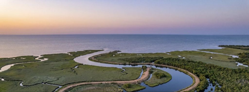 Coastal wetland and meandering river — aerial view